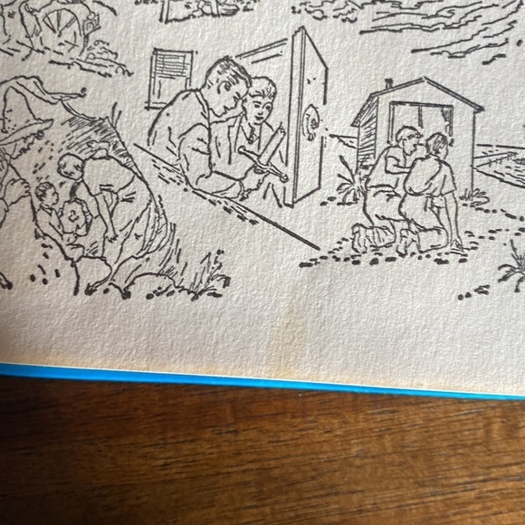 The hardy boys book - Picture 6 of 7